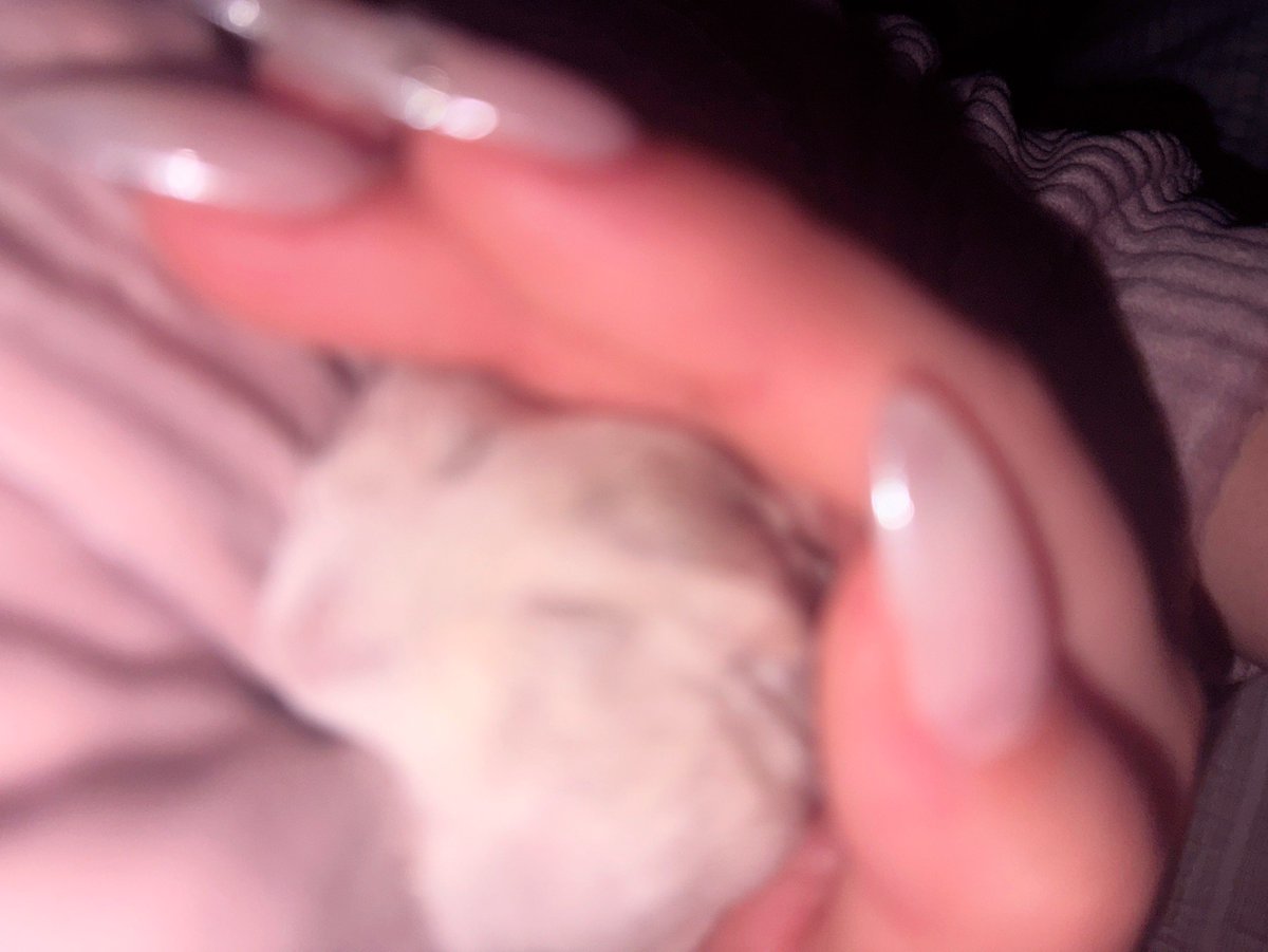 ひるね (@oh1rune_zzz) on Twitter photo 