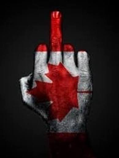 Sabrina Buttazzoni 🌺🌸 tweet media