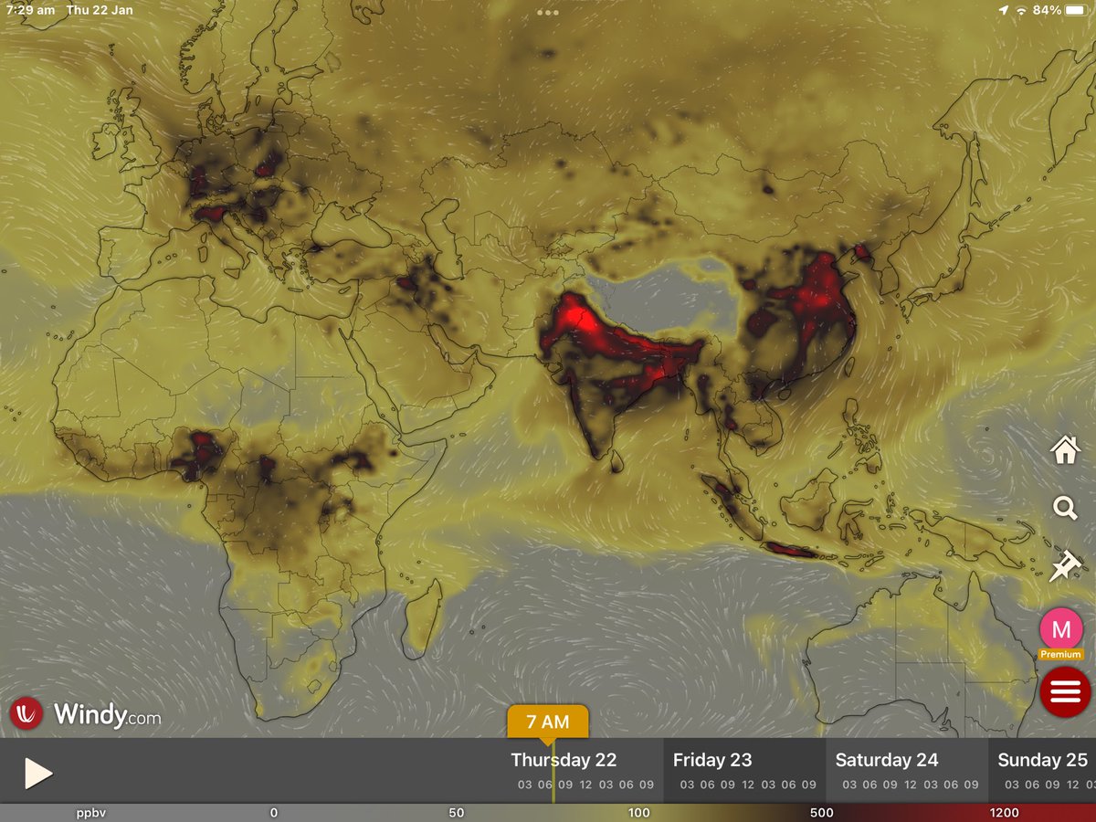 mmitchellwalk's tweet image. 