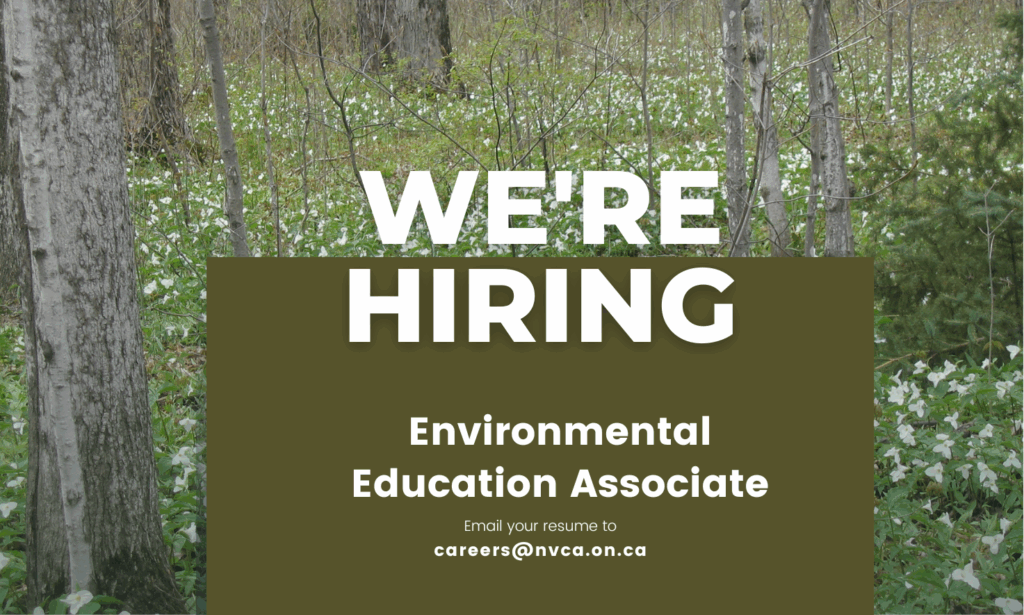 Are you passionate about environmental education? We're hiring part time and Environmental Education Associates. Apply today! nvca.on.ca/were-hiring-a-…