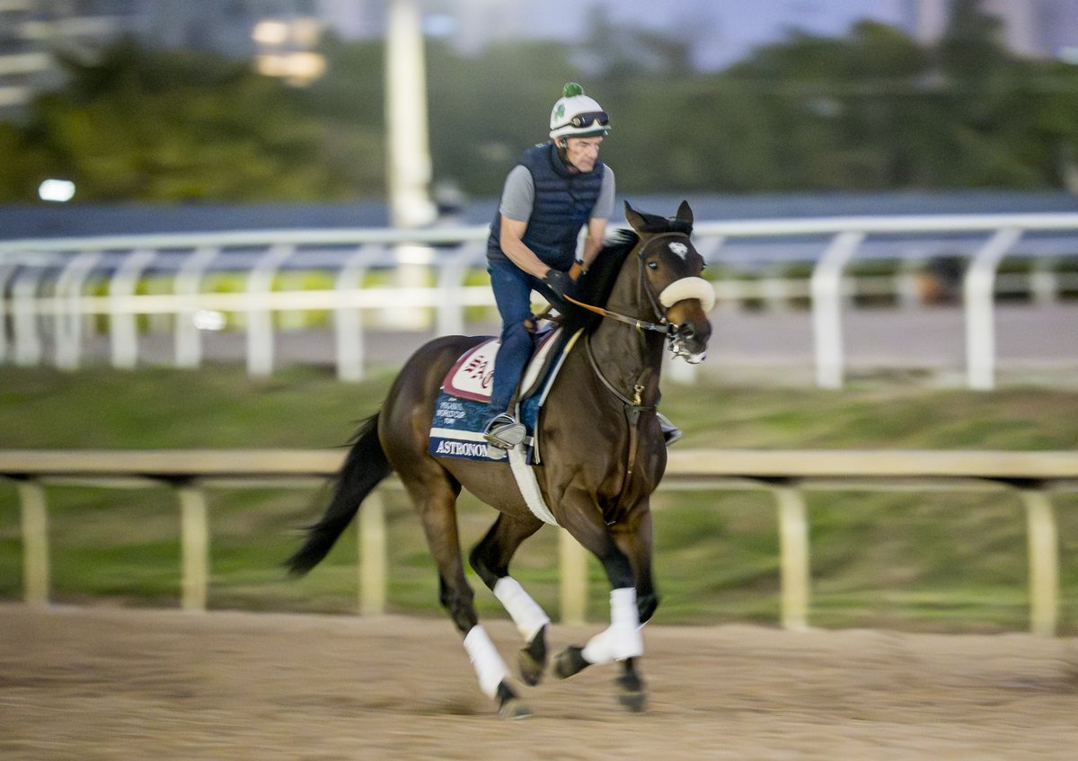 Pegasus World Cup tweet media