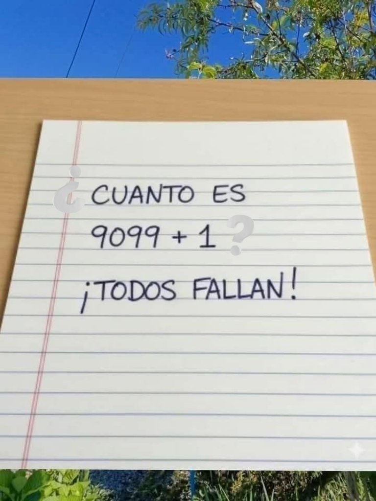 Suricato 💎 tweet media