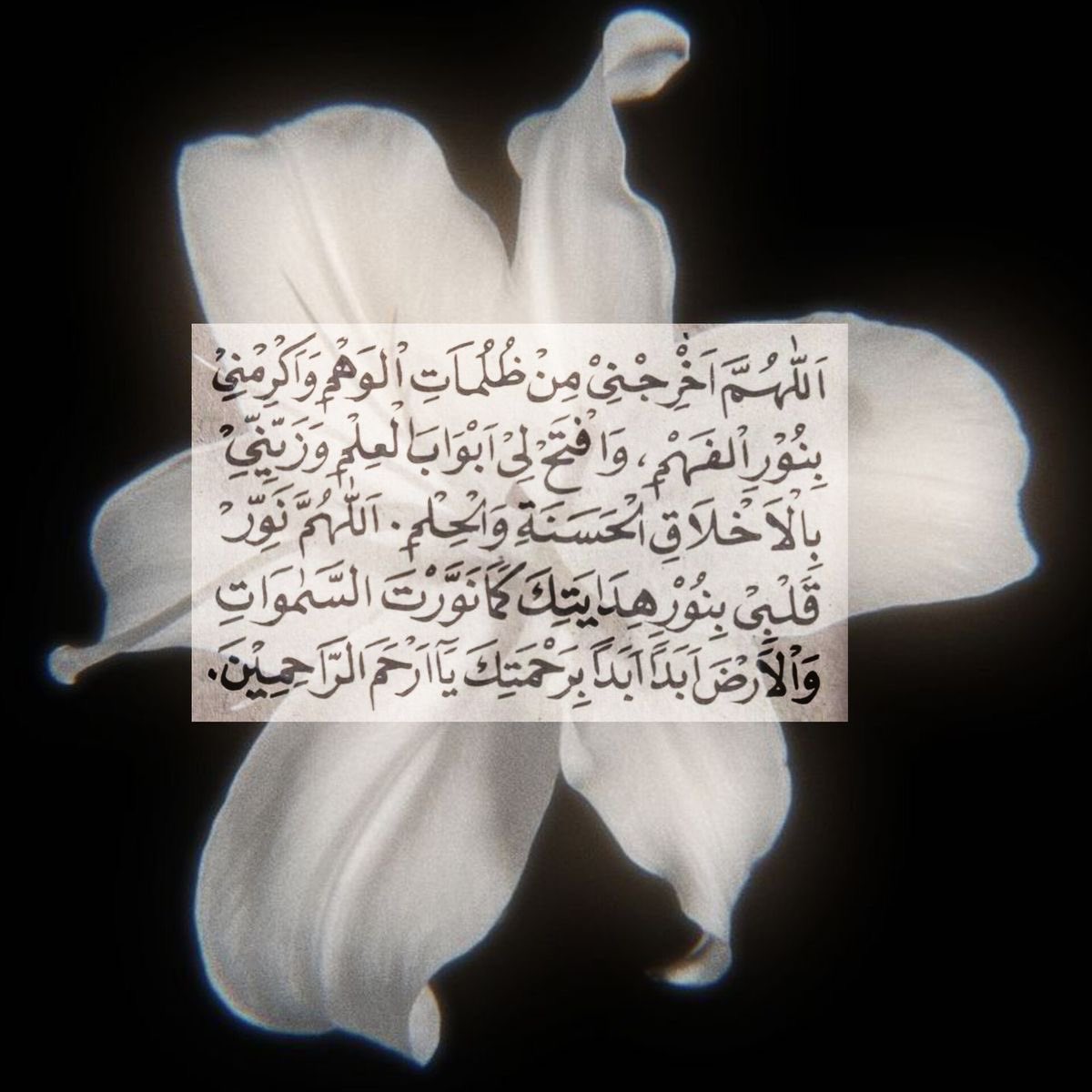 Tethkarr's tweet image. 