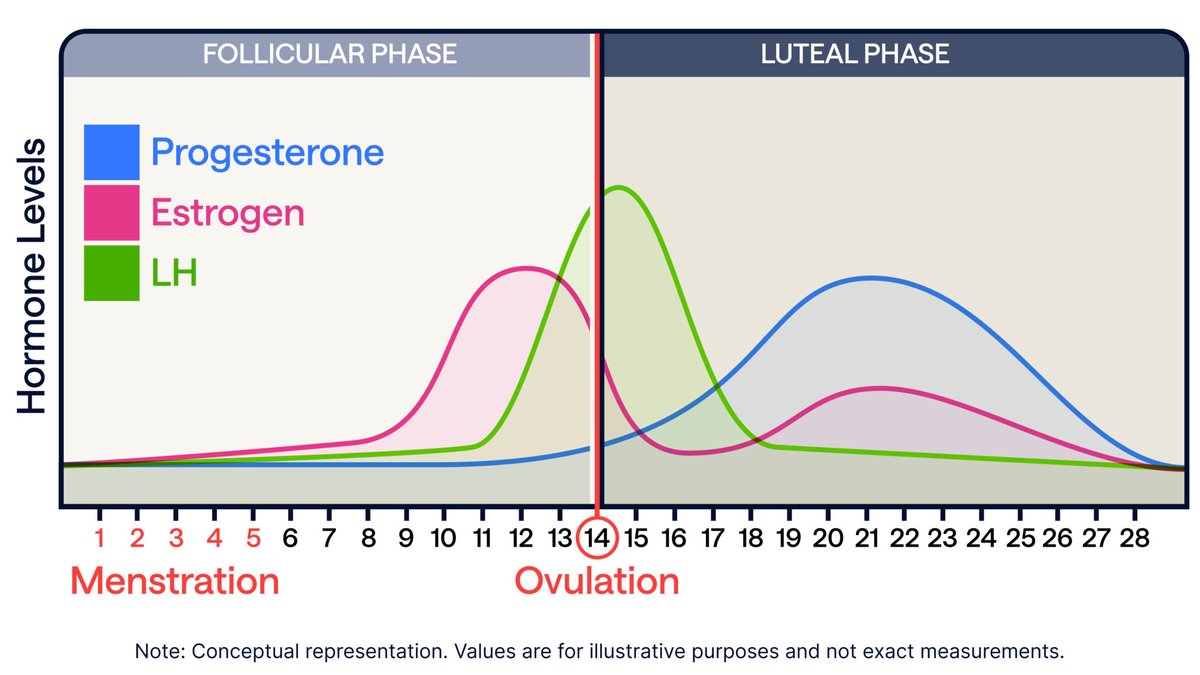 <a href="/blubber_bones/">🦴💀🔥blubber_bones 🔥💀🦴 fasting day 1/27</a> <a href="/Fiery_Blue750/">Black Wolf ♂️</a> <a href="/back_acha665/">Neighbour of the Beast</a> <a href="/AeroAerial/">Aero</a> <a href="/philwoodward20/">philwoodward</a> <a href="/yamato46_/">Yamato46</a> <a href="/MouStaf60706003/">Afternoon G</a> <a href="/7ru7hs33k3r/">7ru7h s33k3r 🇺🇸</a> <a href="/KenFarmerTV/">KenFarmer ⒶⓋ</a> <a href="/ReneGustoOnline/">ReneGusto</a> <a href="/Sid1822060/">Sid 🇵🇸 🇦🇫 🏴󠁧󠁢󠁷󠁬󠁳󠁿</a> <a href="/MisandristWatch/">leah</a> Emotional control is more difficult for them.
But I agree, is not impossible.