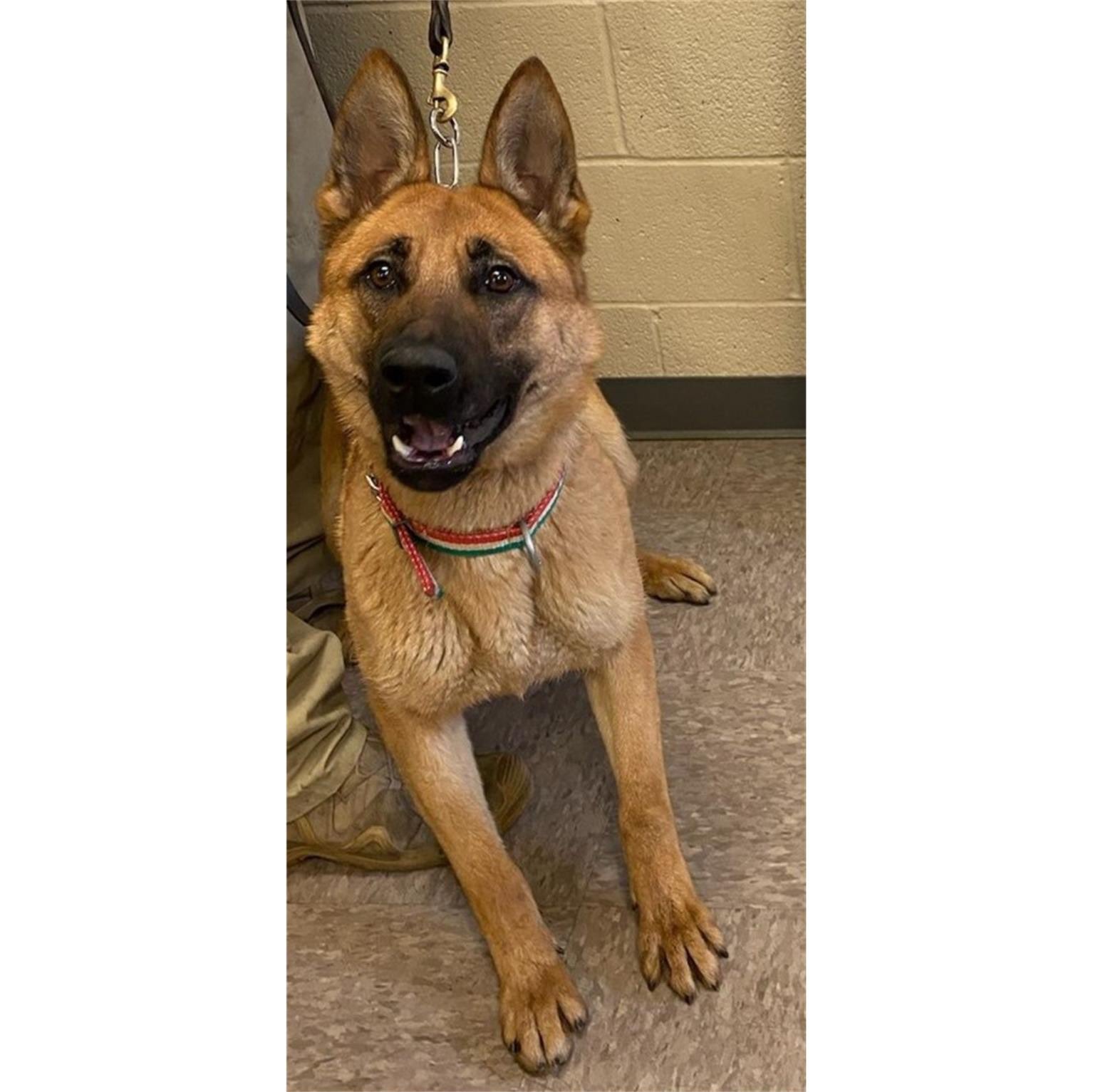 Homeland Security (@DHSgov) on X