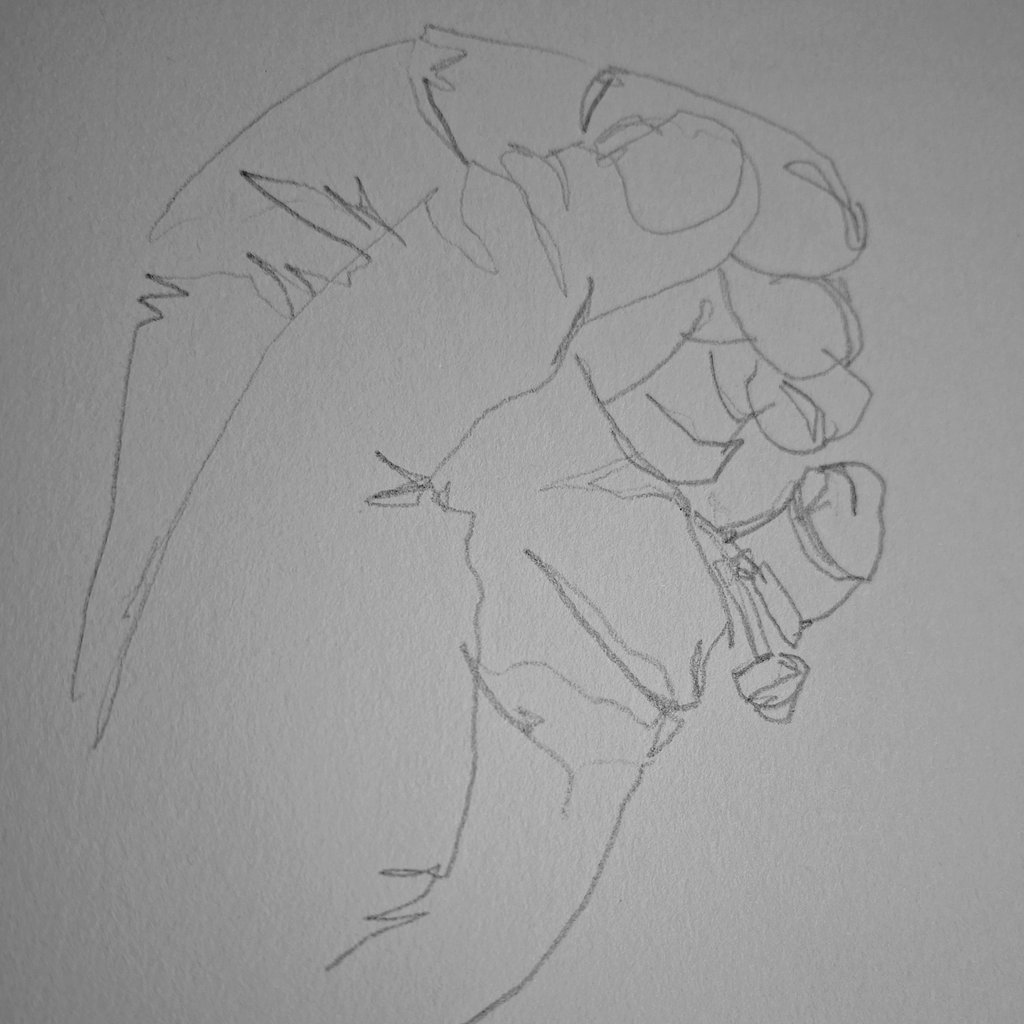 Ruth van S. tweet media