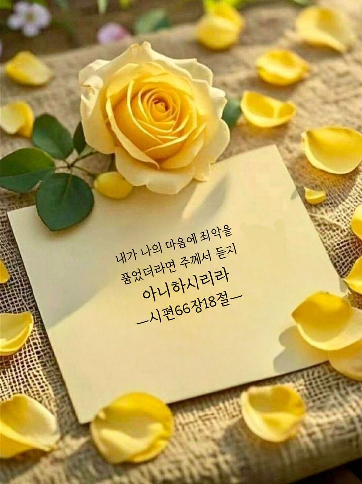 책굽는타자기 (@typewriter_88) on Twitter photo 