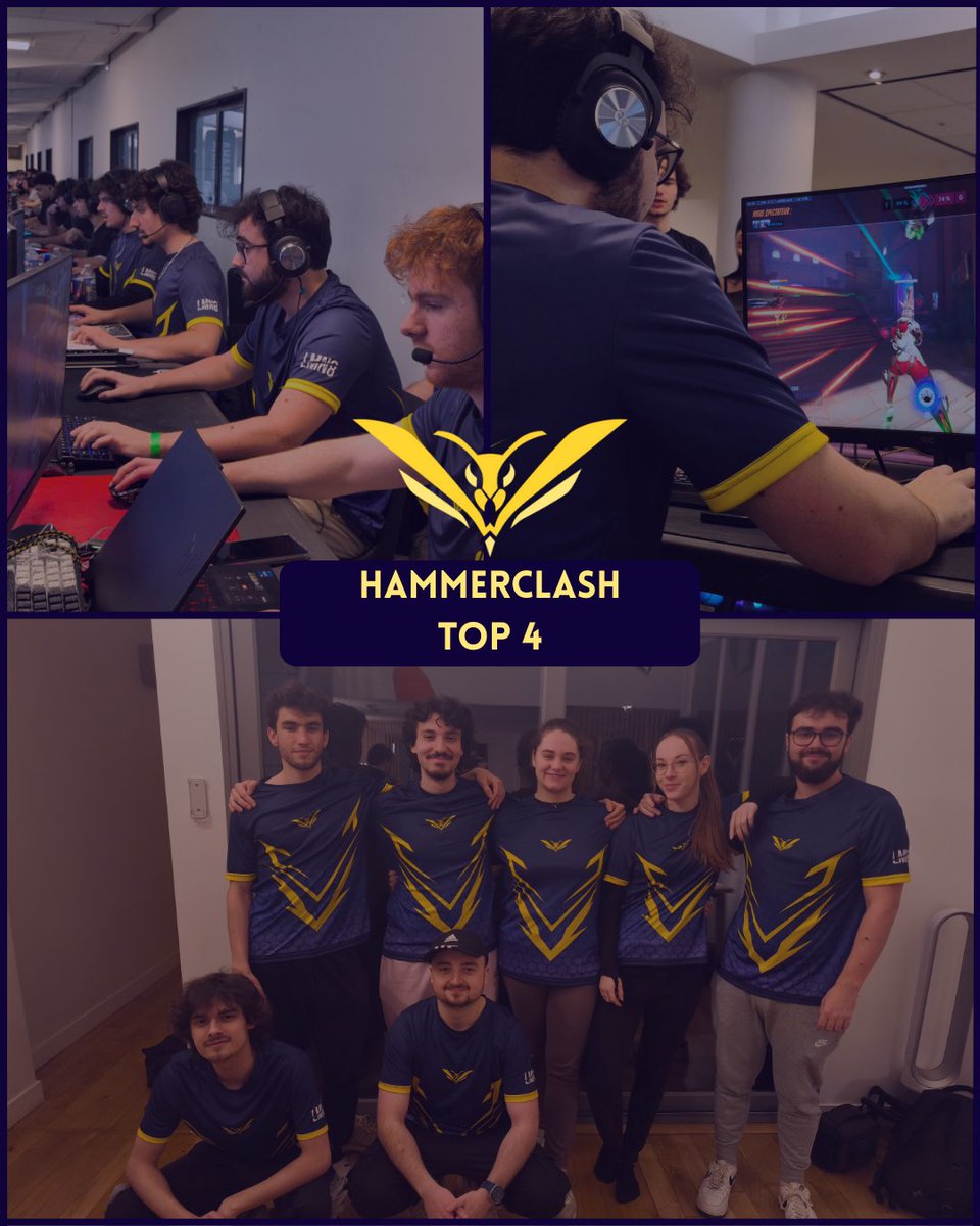 Wasp Esport tweet media