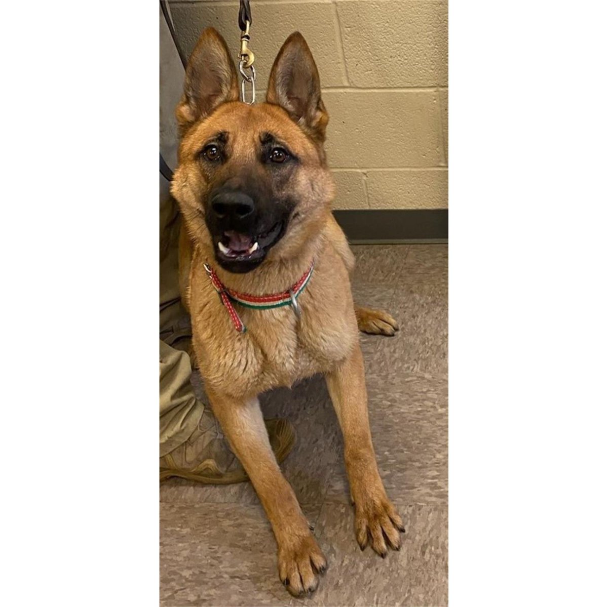 <a href="/DHSgov/">Homeland Security</a> <a href="/CBP/">CBP</a> Thou does not know the wrath that would come down on this person if the internet found out they were harming Dina