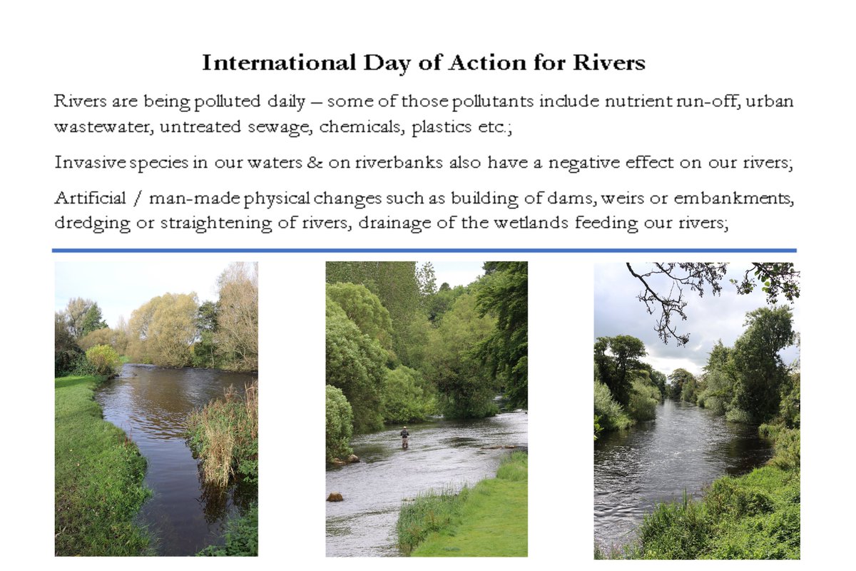 Newbridge Tidy Towns Association #DroicheadNua tweet media