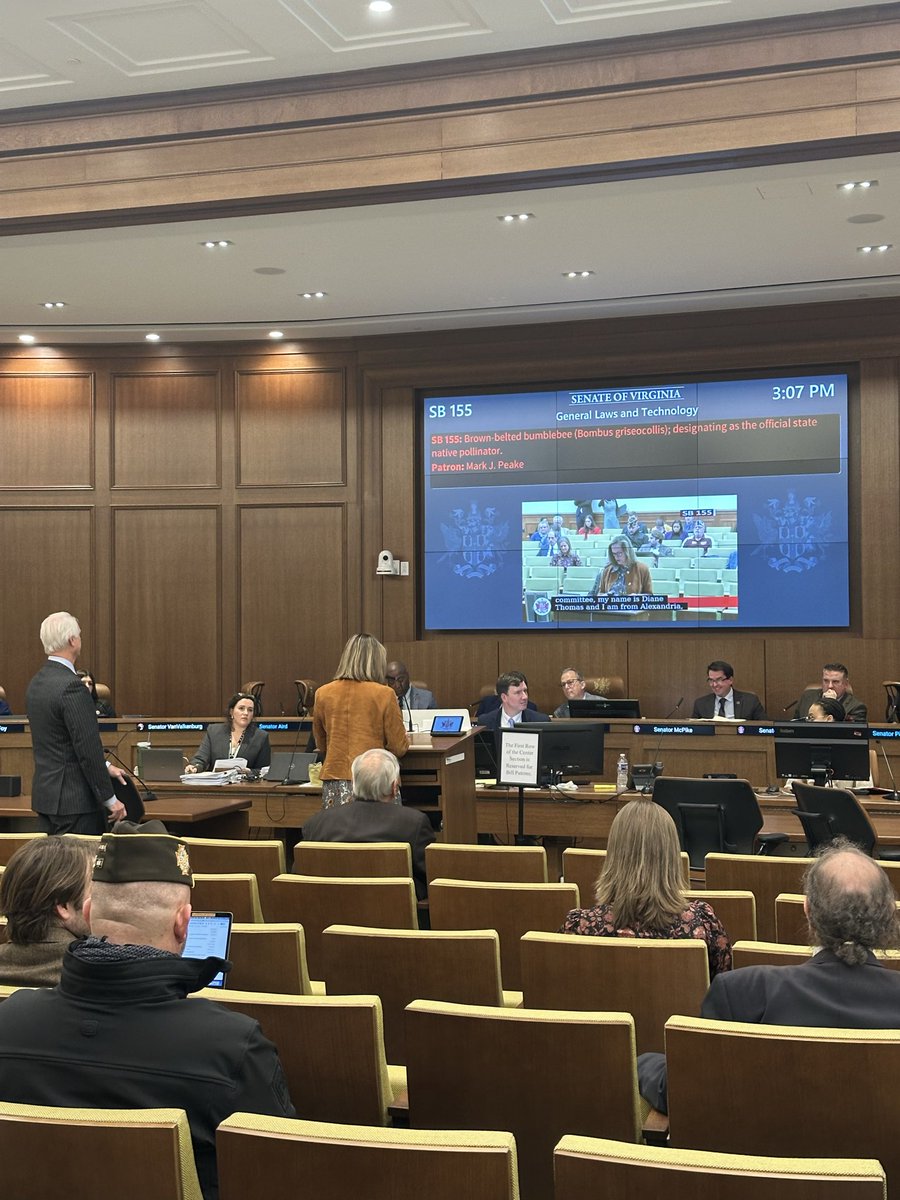 PeakeforSenate's tweet image. 🐝 Buzzing with good news! 🐝

This afternoon, I presented Senate Bill 155, brought to me by The Garden Club of Virginia, to recognize the Brown-Belted Bumblebee as our State Native Pollinator. I’m happy to report the bill passed the Senate Committee on General Laws, bringing…