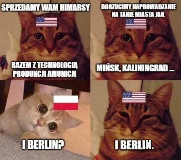 KnightCziwi⚔️ 🇵🇱 tweet media