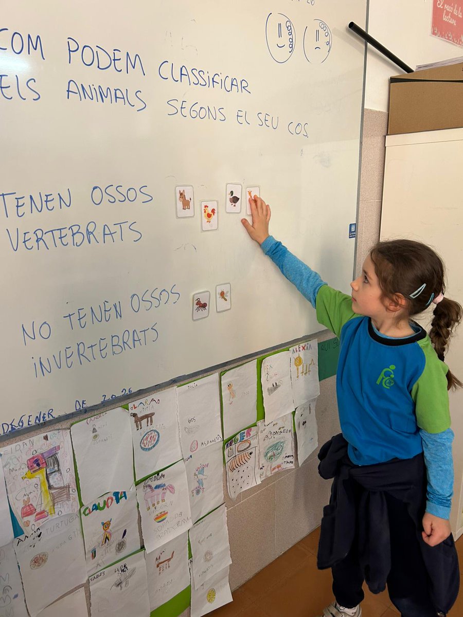 FEDAC Súria tweet media