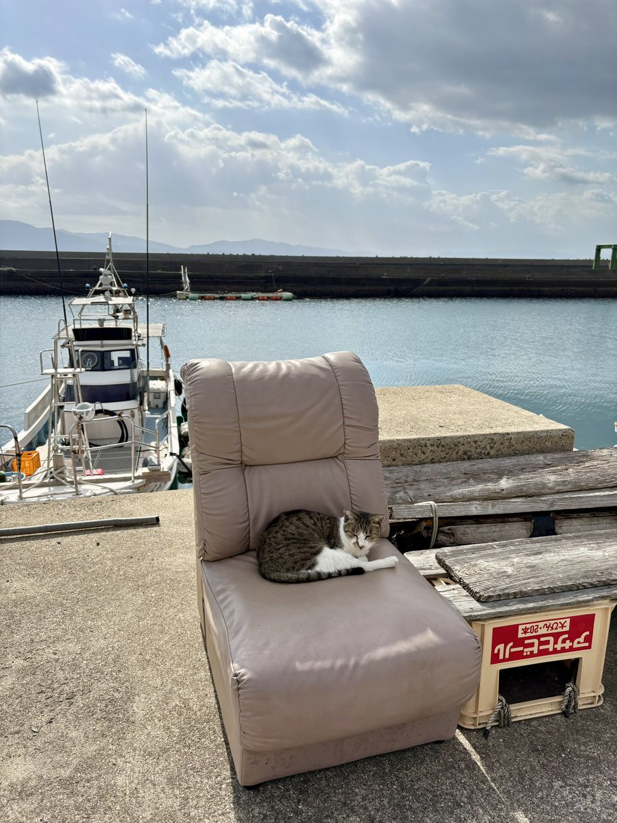 社長か。

湯島猫応援🚩ニャマゾン欲しいものリストはこちら📦🐈‍⬛🐈💕
amazon.jp/hz/wishlist/ls…

#デベ
#猫 #cat #湯島猫部