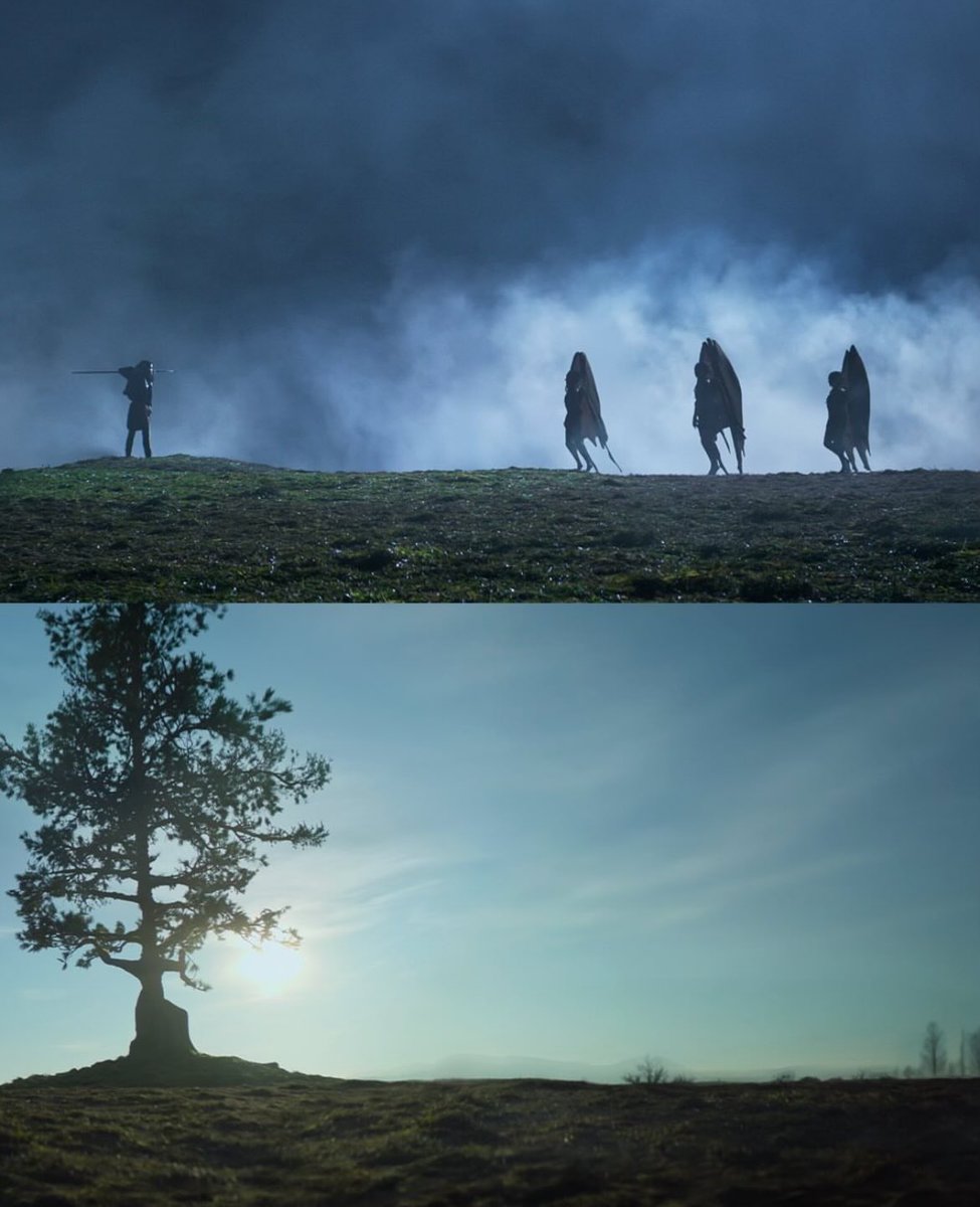 zeus really said "you will not walk away from me" and turned thalia into a tree. actual pest behavior 🫩