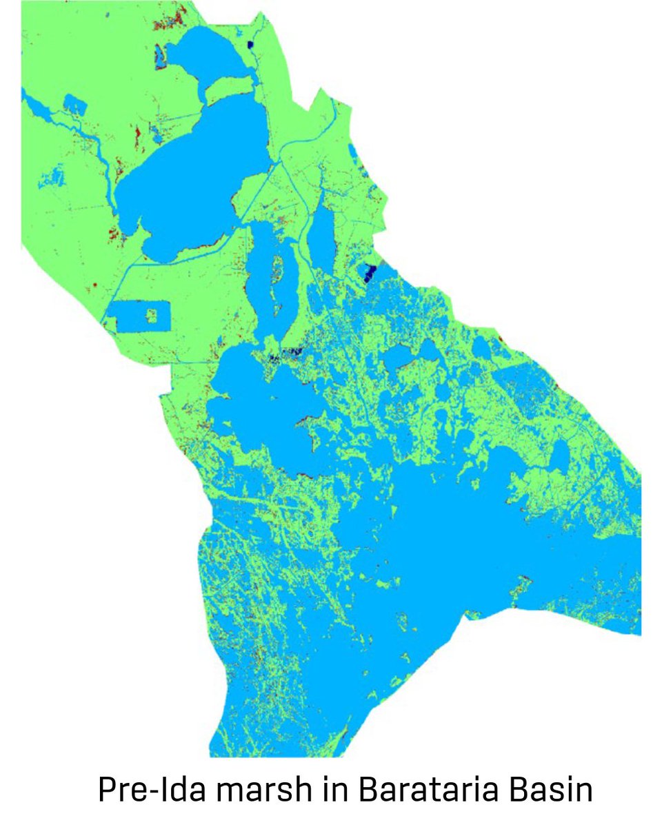 LSU College of the Coast & Environment tweet media