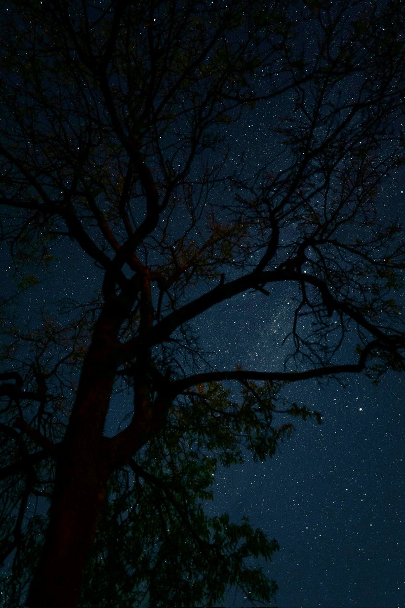 uhd2020's tweet image. Stars