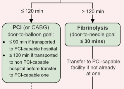 Matthew Ho tweet media