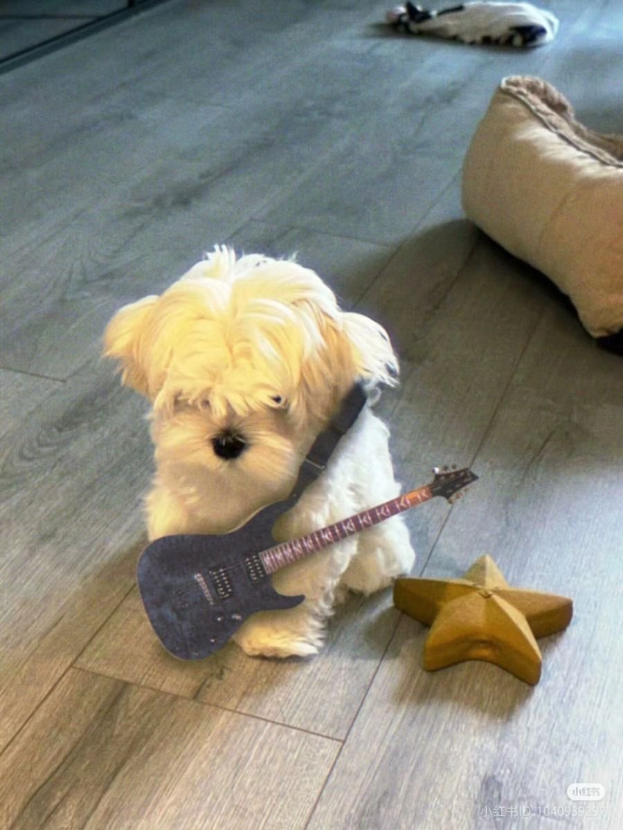 jjungsookja's tweet image. 쩡