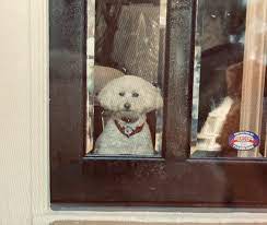 Patrick From Florida 🌴🕶 tweet media