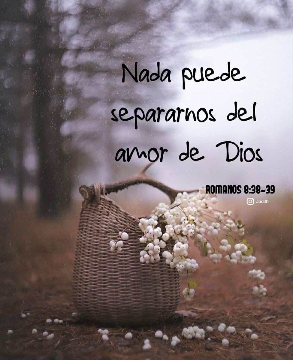 loremgcastillo's tweet photo. Pues estoy convencido de que ni la muerte ni la vida…ni cosa alguna en toda la creación podrá apartarnos del amor que Dios nos ha manifestado en Cristo Jesús nuestro Señor.
Romanos 8:38-39 https://t.co/iD9JHG5Hyr
