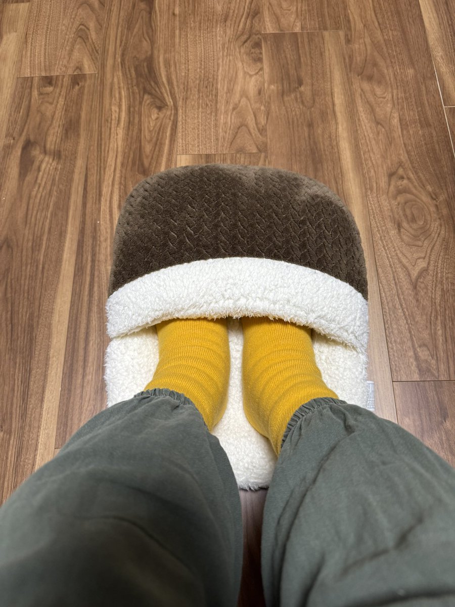 モルモット用に買ったけど彼は中に入ろうともしないので私が使っている。
温い。
もう返せない。
#モルモット
#guineapig