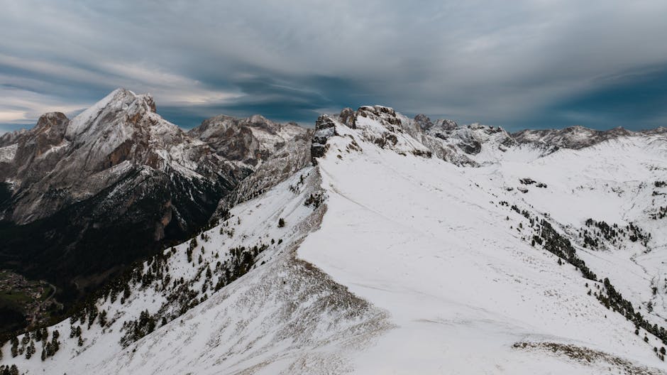 April Brown tweet media