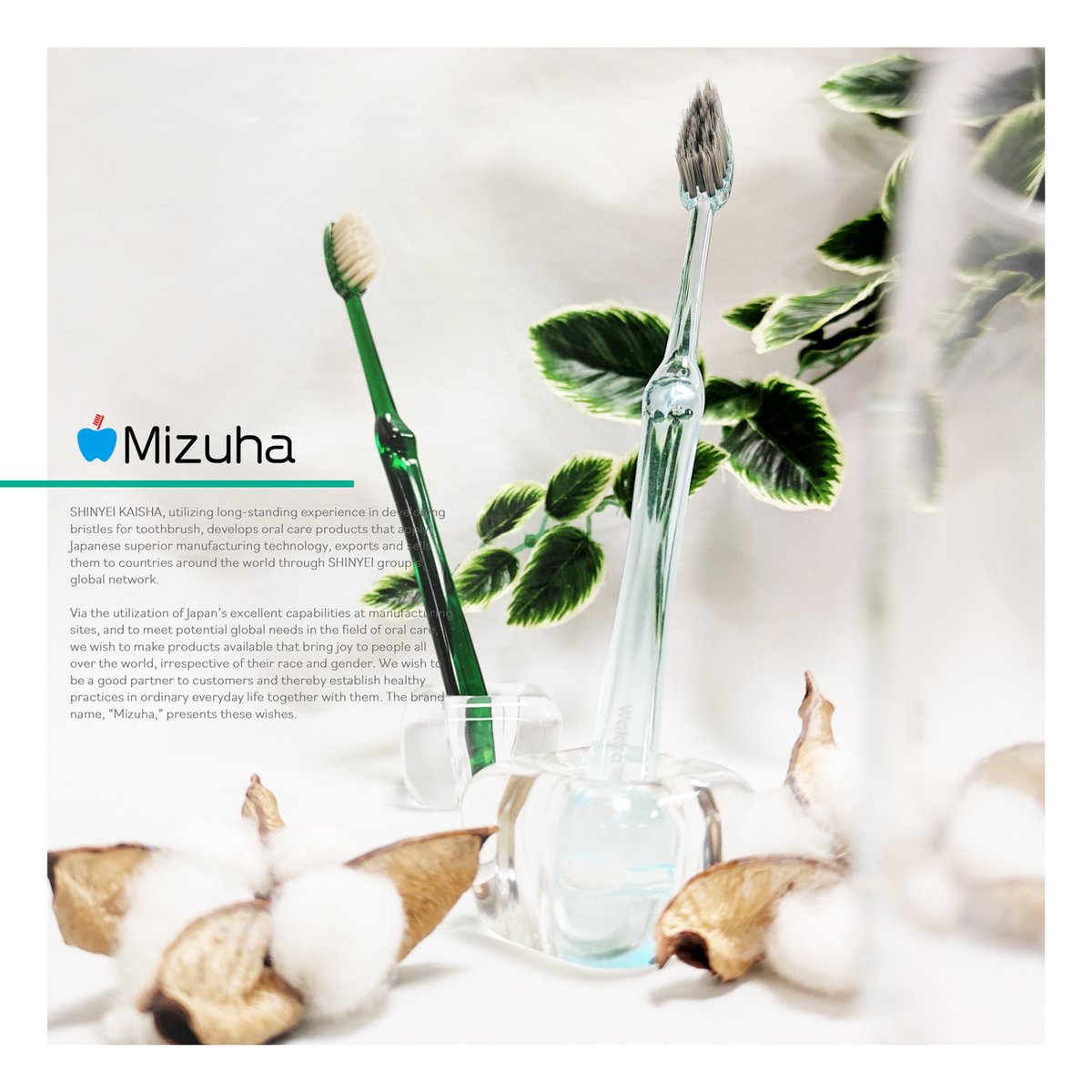 🦷Mizuhaオーラルケア【公式】💎 (@JpMizuha) / Posts / X