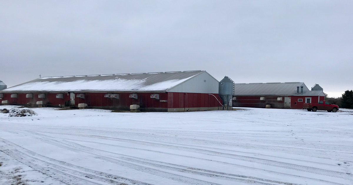 Minnesota Farmer tweet media