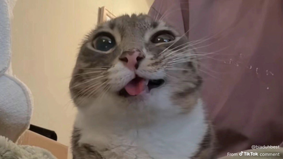 drew dunathan tweet media