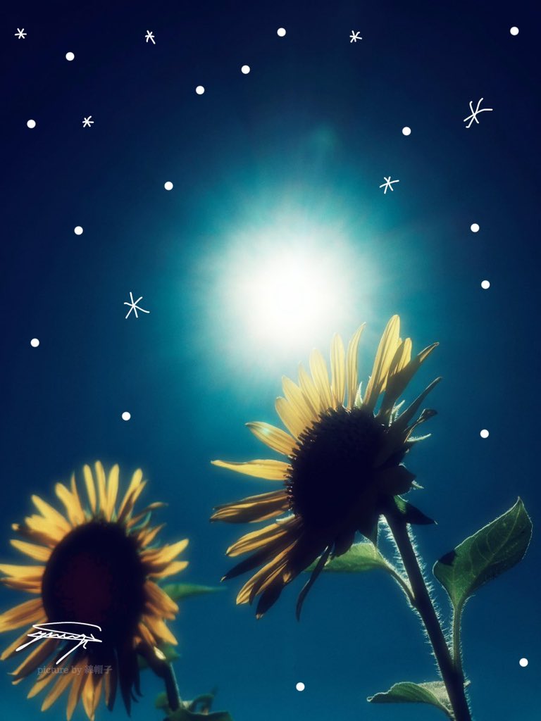 夏の雪
 #綿帽子のキリトリ世界