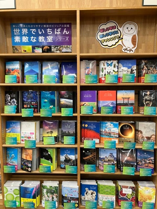 三共博物館シリーズ6冊セット