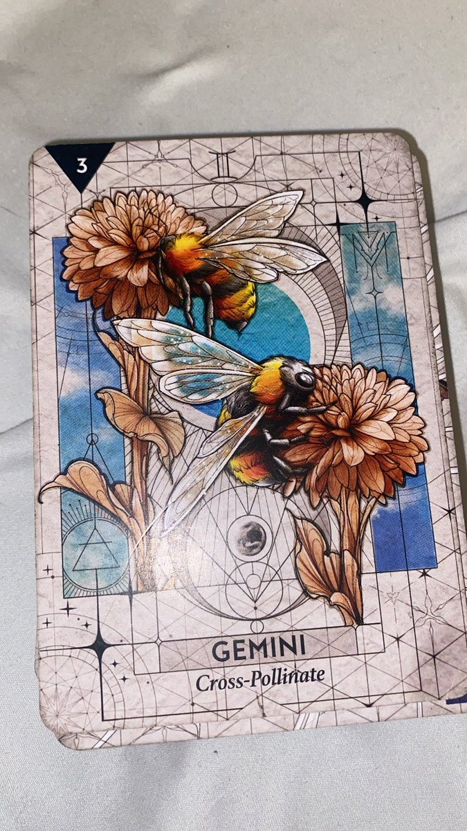 ReikMaster33's tweet image. Comment for a card 👋🏾