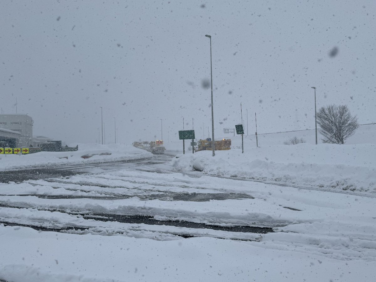 おはようございます⛄️