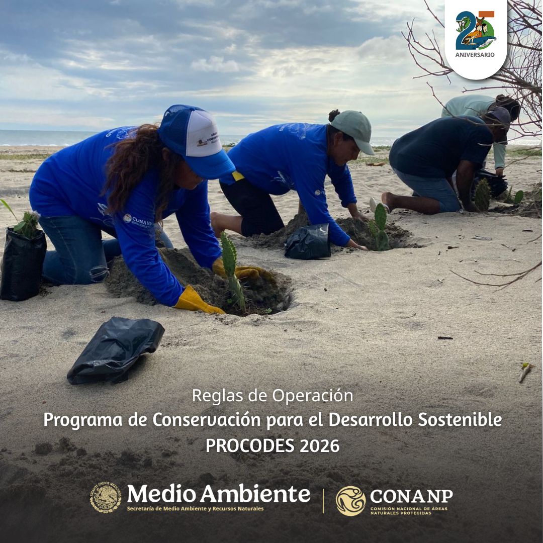 CONANP_mx's tweet photo. Te invitamos a consultar las Reglas de Operación del #PROCODES 2026. 🍃✨
Participa y contribuye al cuidado del medio ambiente ➡️ https://t.co/QF7AWsHelQ #SomosNaturaleza #ÁreasNaturalesProtegidas #GuardianesDeLaNaturaleza 🌳🌊🌿🌽🍅🪵 https://t.co/jCsQJtZ3xB