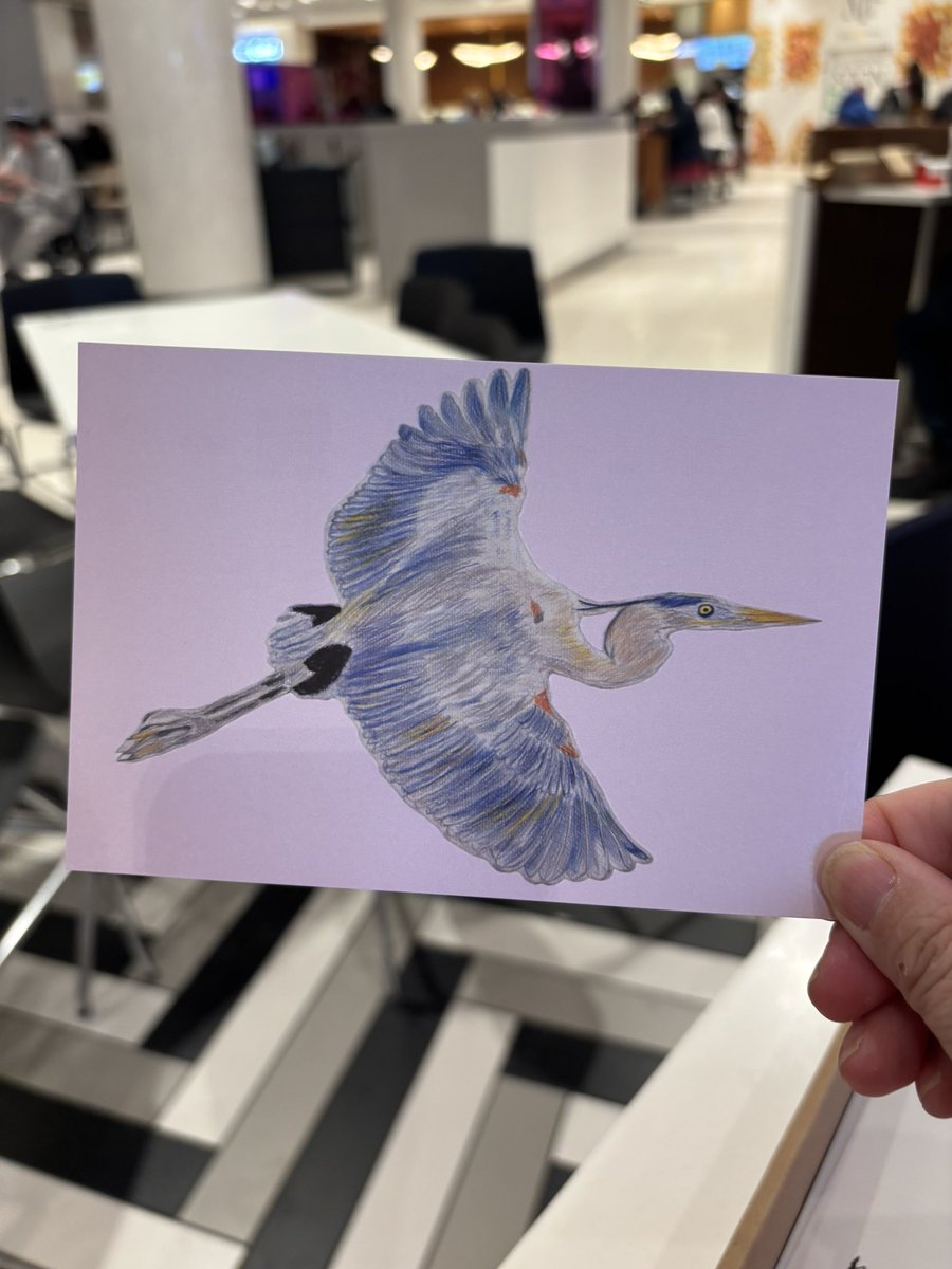 明信片出来了

好开心，这一阵累死了呀！希望能够卖得好吧！