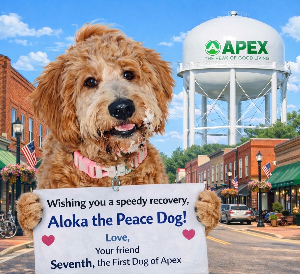 MayorJacquesGilbert tweet media