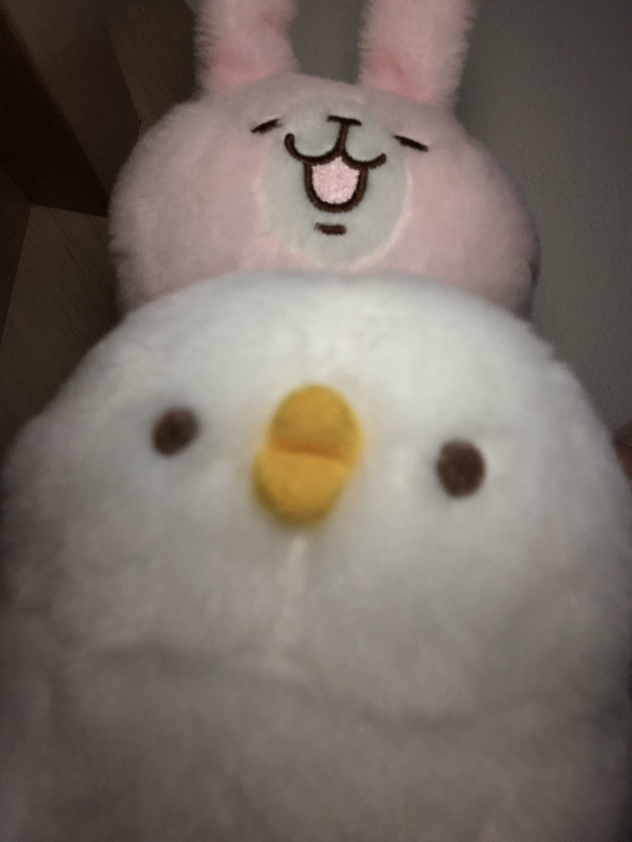 #TLにぬいのドアップ画像をあげて人々を幸せにしよう計画
#カナヘイ
#ゆるっと写真同好会