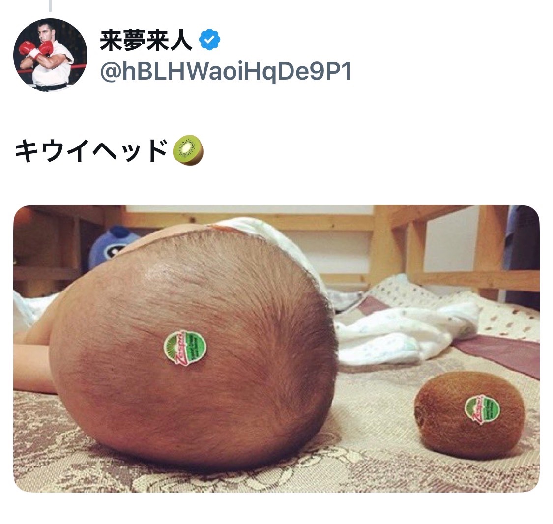 来夢来人 (@hBLHWaoiHqDe9P1) / Posts / X