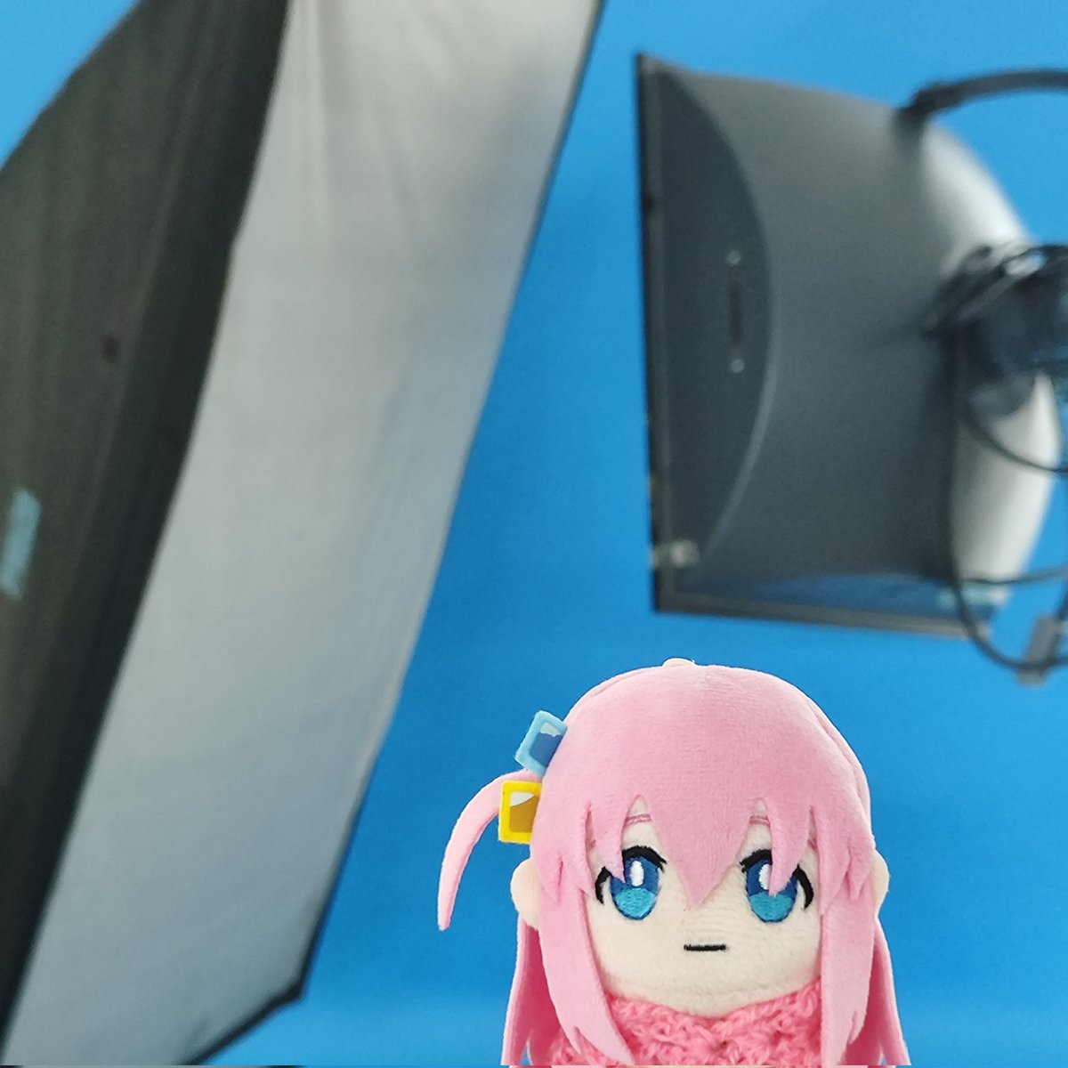 dailybocchinui's tweet image. daily bocchi nui