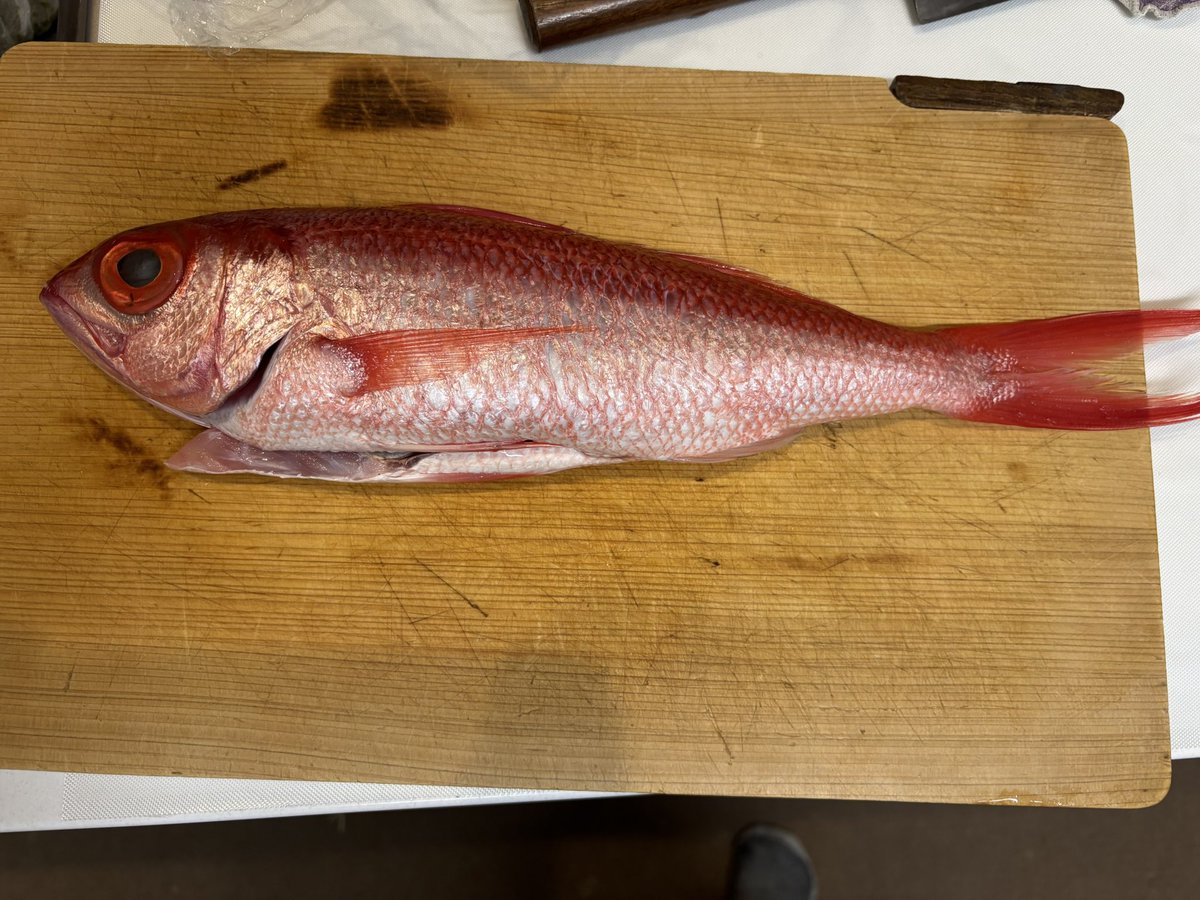 昨日は公休でしたがなーんにもしませんでした。夕方に走ったりお魚捌いたり。。。
グレが脂乗り乗りで美味でした。アカムツもナイスな味でした