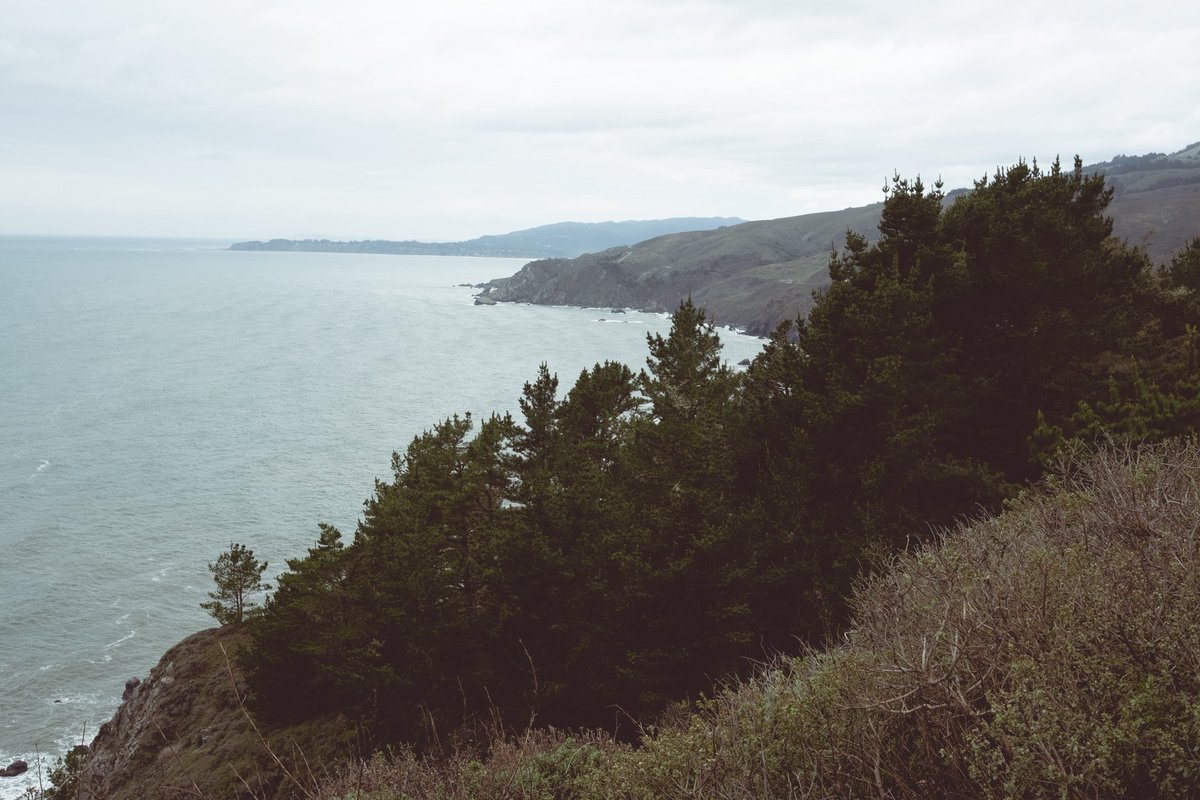 dp (@paviddark) on Twitter photo 