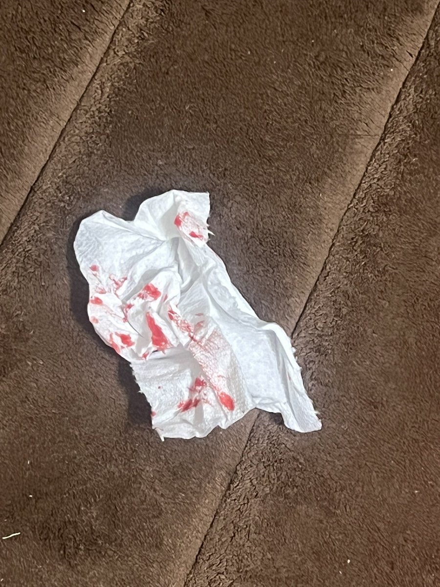 ITS BEEN A WHILE OMG I had a small ahh relapse, they are all baby styros but it’s okay I needed this BRO MY THING WENT DULL SO FAST KMS