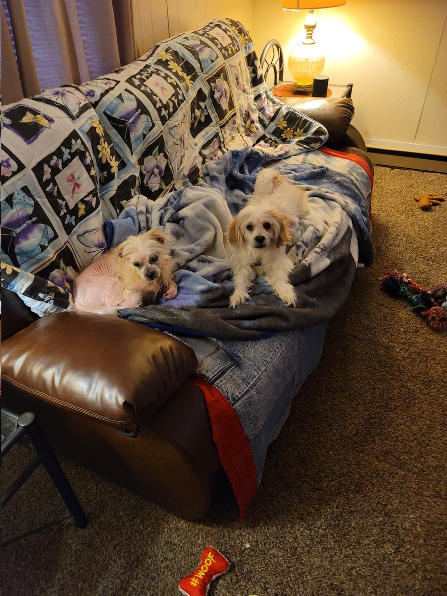 drpradacter's tweet image. They are looking at me asking what is your next move?