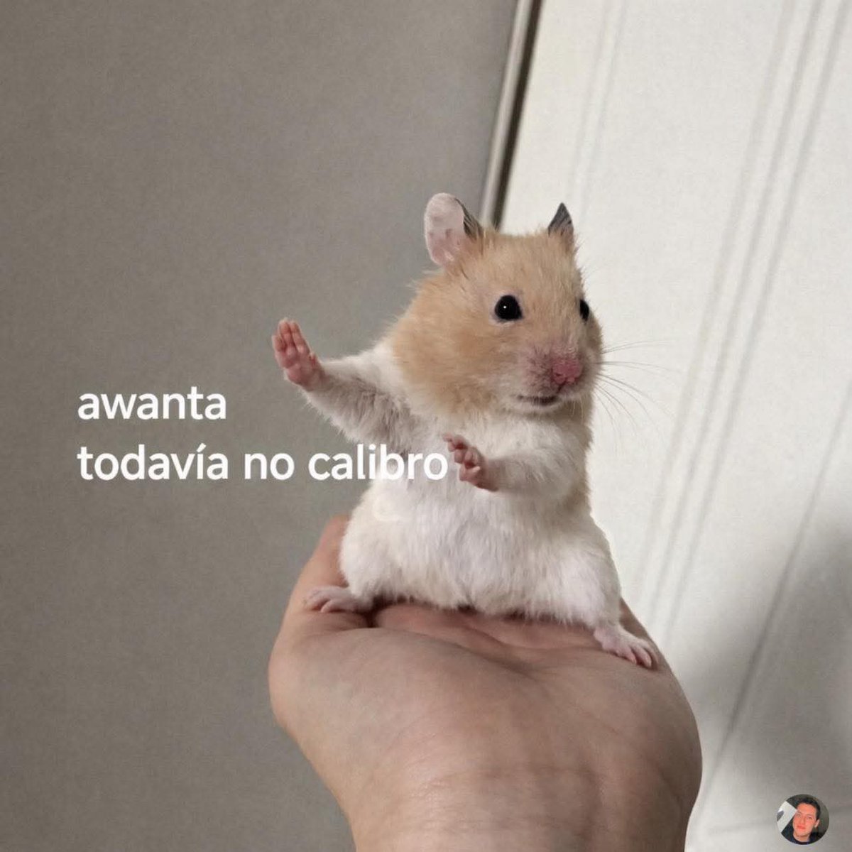 Cuando voy entrando a la toco y llega una multi completa: