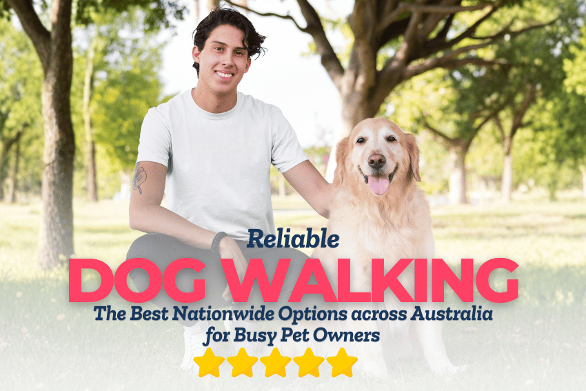Discover the best dog walking services in Australia. PetCloud connects busy pet owners with trusted, insured dog walkers nationwide. petcloud.com.au/d/blog/best-do…