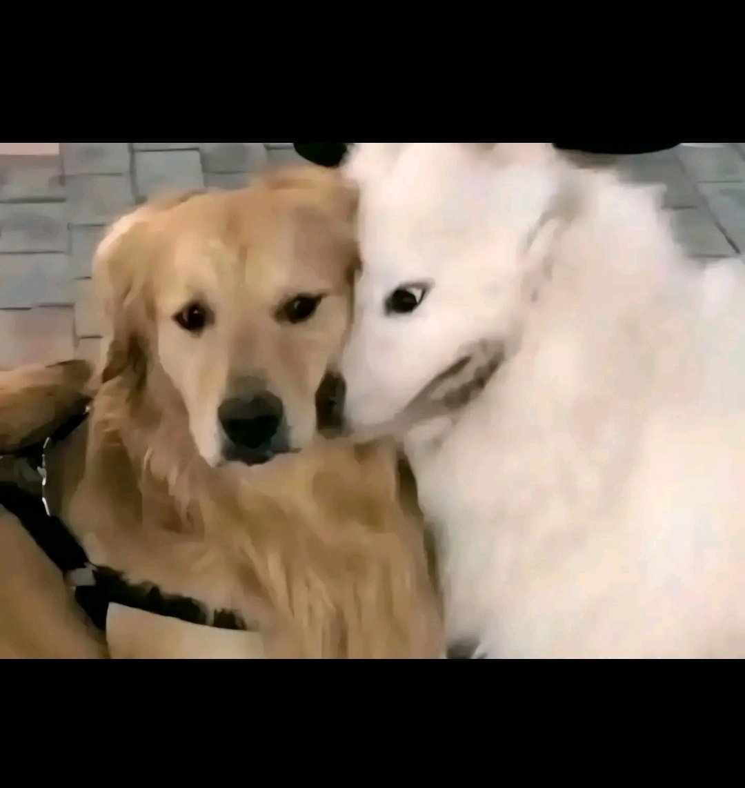 Laura ✨ tweet media