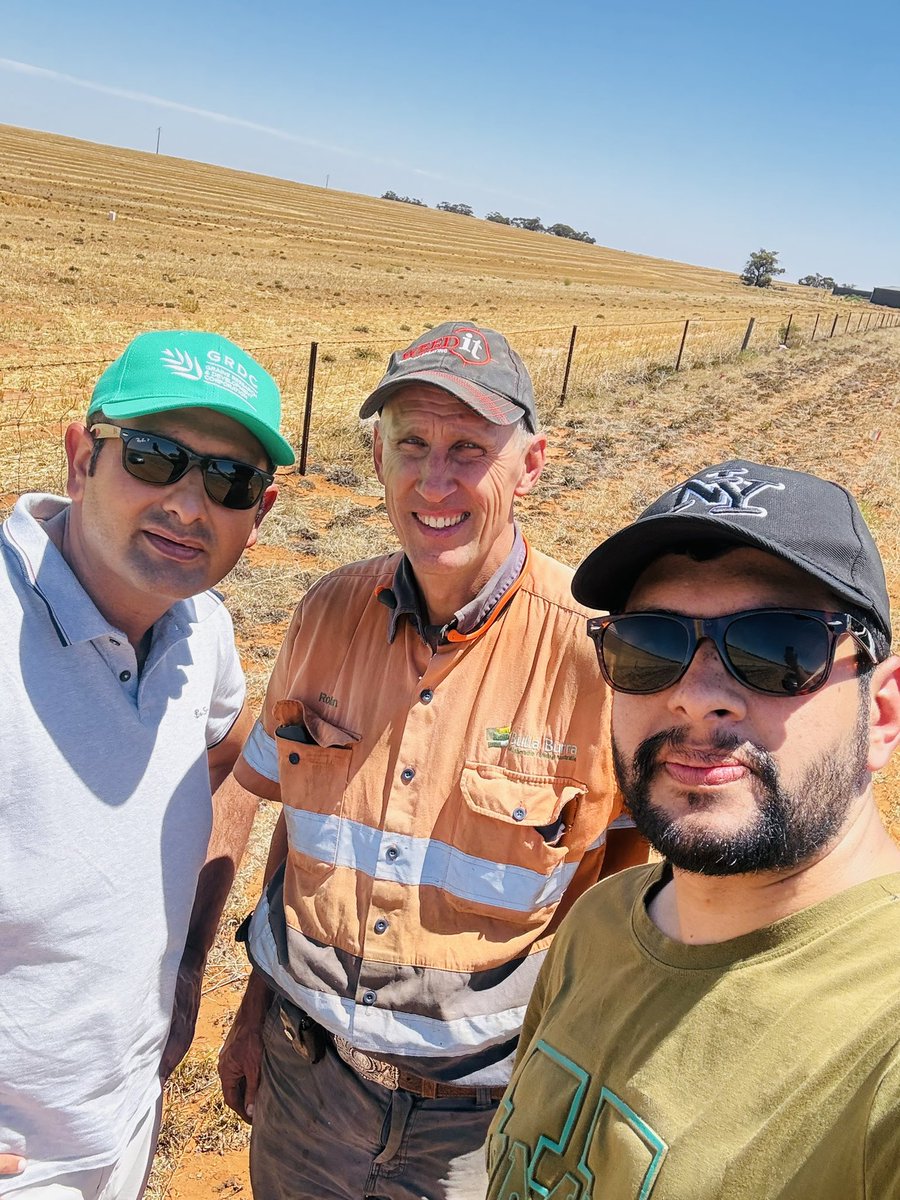 a1bajwa's tweet photo. The first field visit of 2026 assessing our ongoing trials on #Gazania #weed control in #Loxton #SA. Some really interesting findings from our applied research over the last 2.5 years and more to come.
If you are a #grower, #consultant or a concerned environmentalist, come along to #GRDC #Grains_Research_Updates in Adelaide, Waikerie or Bendigo in February where I’ll be speaking about gazania biology, spread and management.
It’s been a long day but I’m deeply thankful to my Phd student, Muhammad Adnan and our collaborator Robin shaeffer for their help in the field. I appreciate Grains Research and Development Corporation (@theGRDC) and La Trobe Institute for Sustainable Agriculture and Food for the ongoing support for #RDE on this important topic.
@SABE_latrobe @latrobe