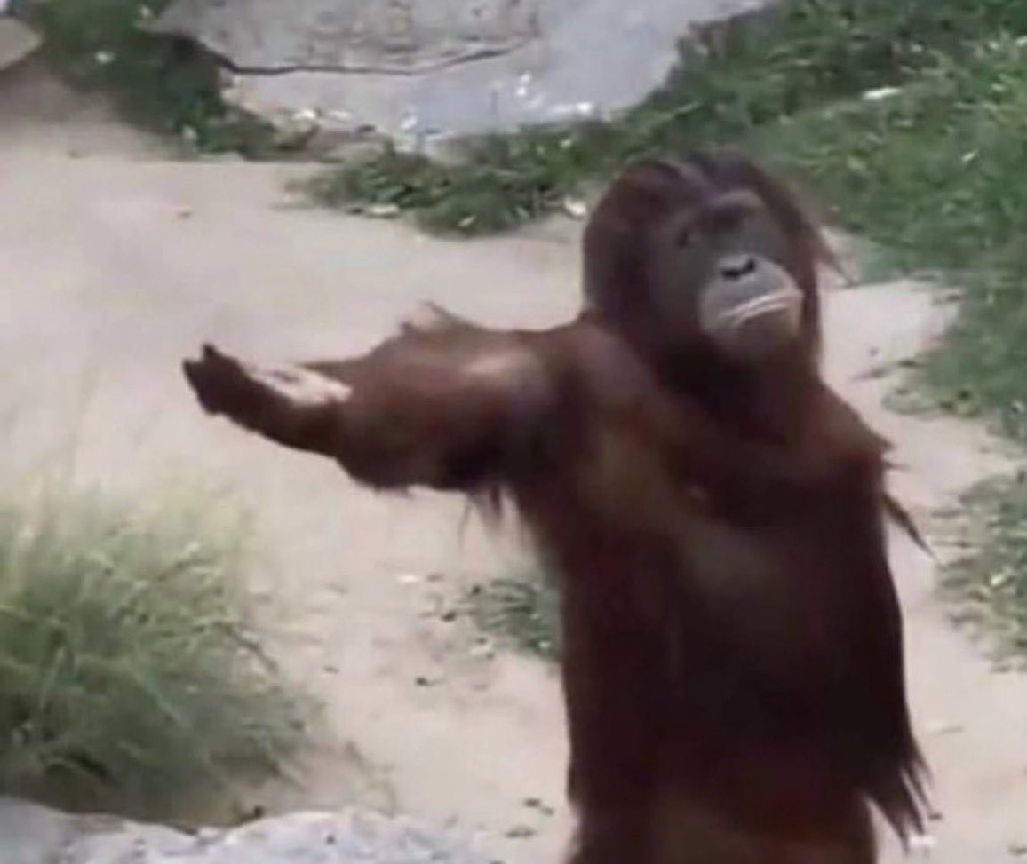 QuestTim_'s tweet image. Agbero every time they see Speed