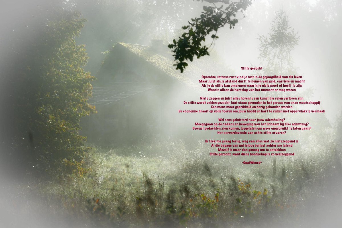 GaafWoord's tweet photo. #GaafWoord #gedicht #dichter #woorden #stilte #TroostGever #HoopVerlener #Troostwoorden #tekst #gedichten https://t.co/mI3yWDsGgn